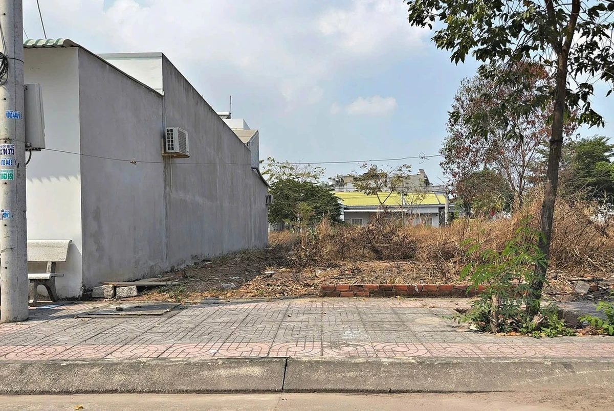 Bán đất Phú Mỹ 100m² hướng Đông, sổ hồng, 2.5 tỷ - Ảnh thu nhỏ 3