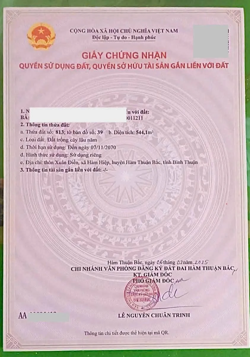Bán lô đất 544m² quy hoạch thổ cư Lâm Đồng - Ảnh thu nhỏ 2