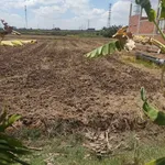 Bán đất 1000m2 Bến Lức Tây Ninh 1 tỷ 100 triệu - Ảnh thu nhỏ 3