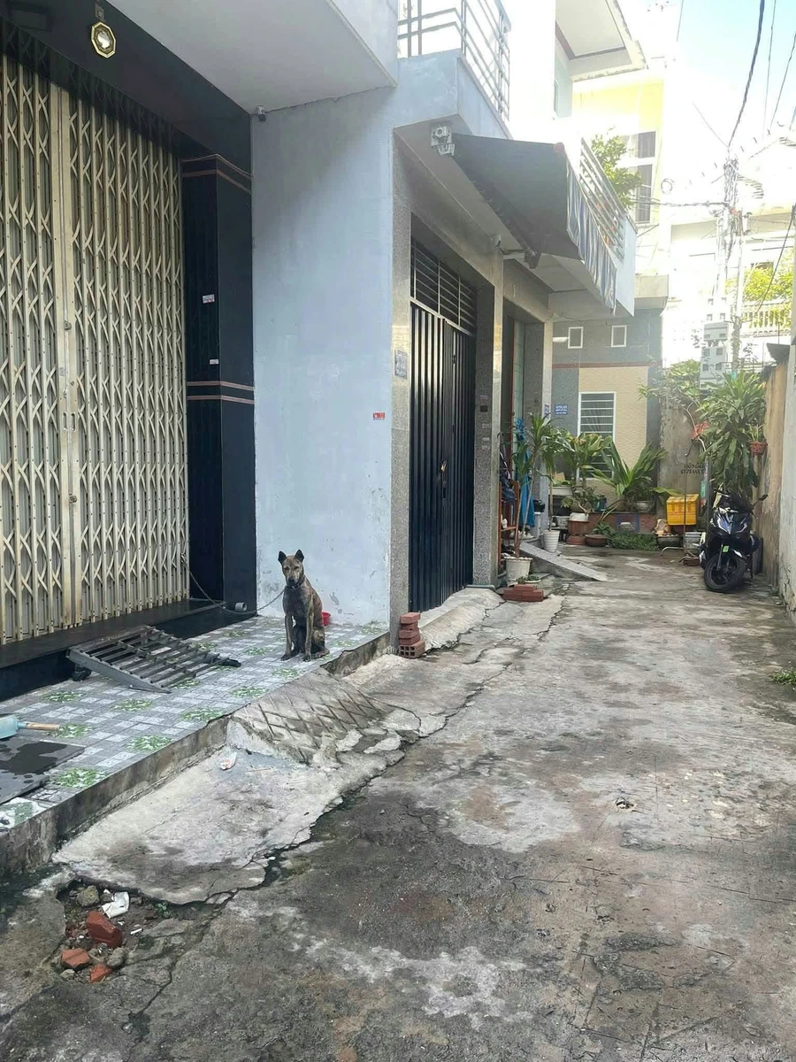Bán nhà hẻm 3 tầng 45m² Phường Quang Trung Quy Nhơn - Ảnh thu nhỏ 2