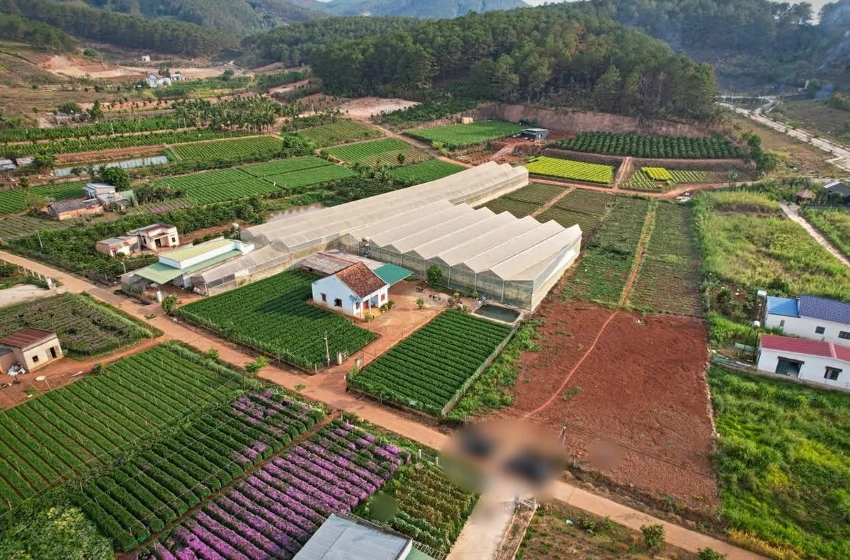 Bán 5 thửa đất vườn ở Nam Ban, Lâm Hà, 485–933 m² - Ảnh thu nhỏ 3