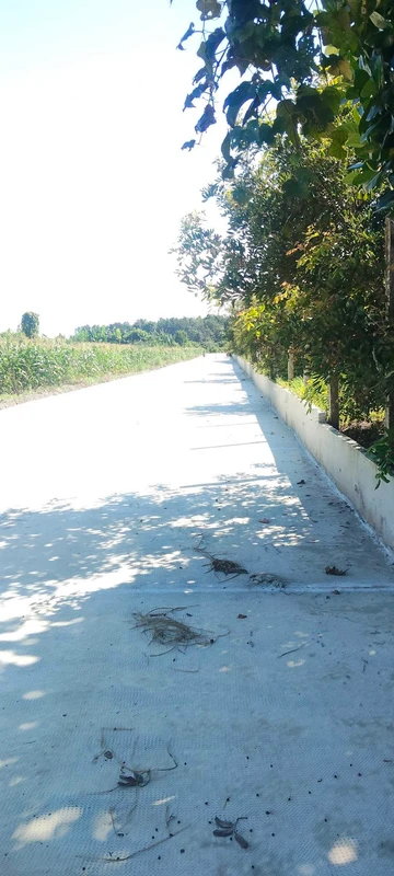 Bán 3 sào đất nhãn đẹp gần QL13 giá 700 triệu