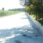 Bán 3 sào đất nhãn đẹp gần QL13 giá 700 triệu - Ảnh thu nhỏ 1