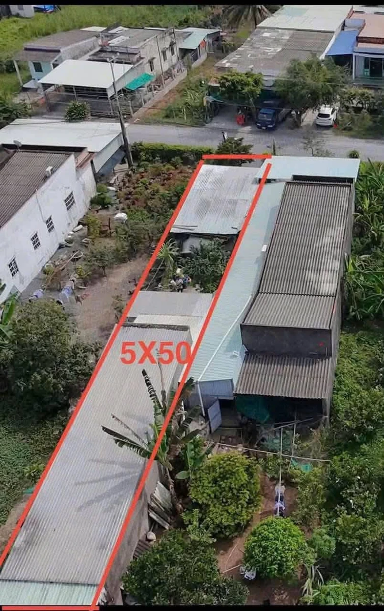Bán nhà mặt tiền Lê Văn Tường Tây Ninh 250m² 1,55 tỷ - Ảnh thu nhỏ 4