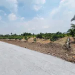 Bán đất 486m² mặt tiền sông, gần Nhựa ĐT816, Bình Chánh - Ảnh thu nhỏ 1