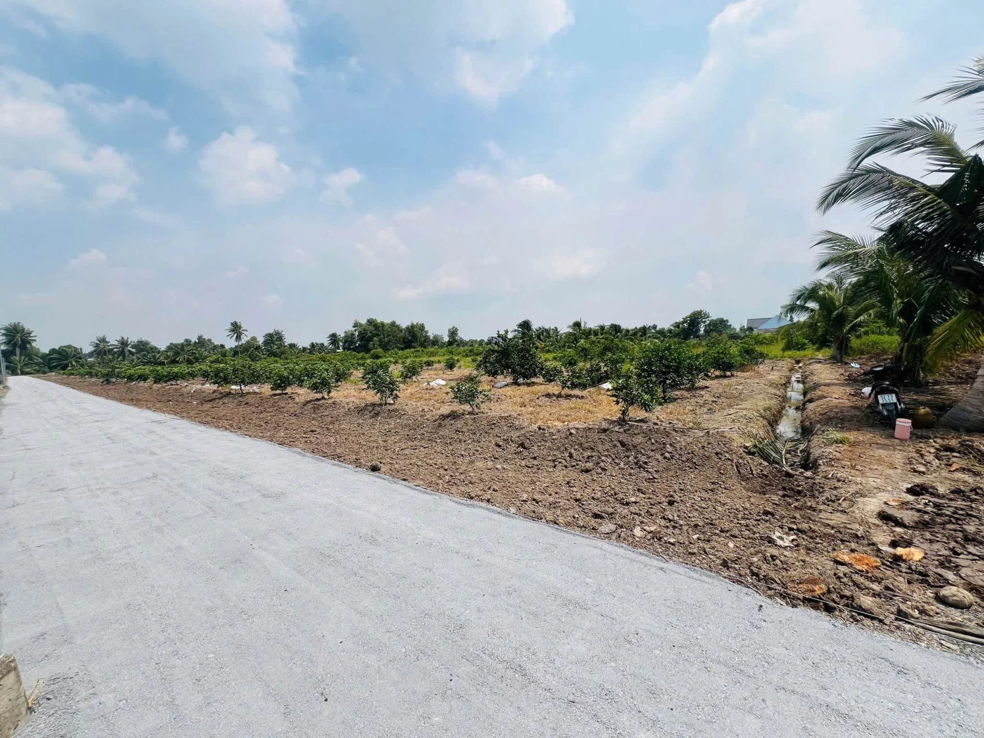 Bán đất 486m² mặt tiền sông, gần Nhựa ĐT816, Bình Chánh - Ảnh 1
