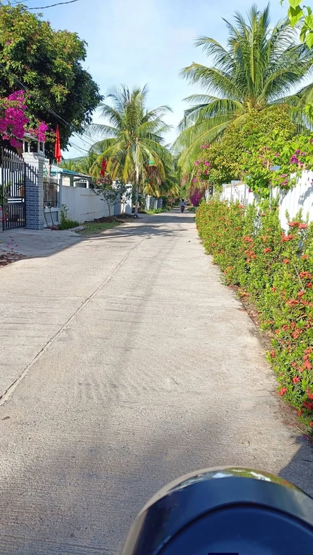 Bán đất kiệt Ngô Thế Vinh Thanh Thuỷ Huế 91m² chỉ 8xx triệu 12m90