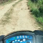 Bán đất 8 hectare Bảo Lâm Lâm Đồng 900 triệu - Ảnh thu nhỏ 4