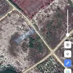 Bán đất tại Đường Hùng Vương, La Gi, Lâm Đồng, 2,6 tỷ, 1011m2, giá cực chất - Ảnh thu nhỏ 2