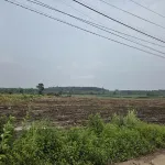 Đất gần sân bay Long Thành giá rẻ hơn thị trường 30% có sẵn 600m2 thổ cư - Ảnh thu nhỏ 8