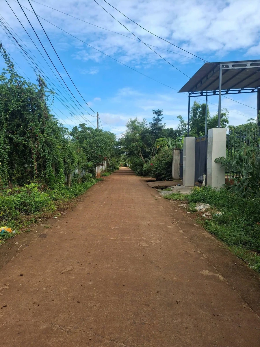 Bán đất thổ cư 5x64m hẻm 437 Nguyễn Thị Định, hai mặt tiền, giá 1,45 tỷ - Ảnh thu nhỏ 4