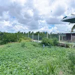 Bán đất vườn 13x39m sổ hồng riêng, đường xe tải, xã Đức Hoà, Tây Ninh - Ảnh thu nhỏ 3