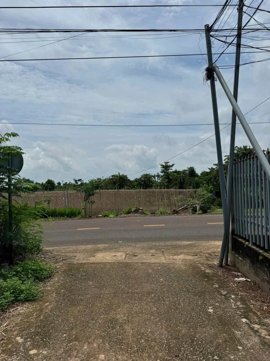 Bán đất 2500m2 nhà vườn nghỉ dưỡng Cẩm Mỹ - Ảnh thu nhỏ 2