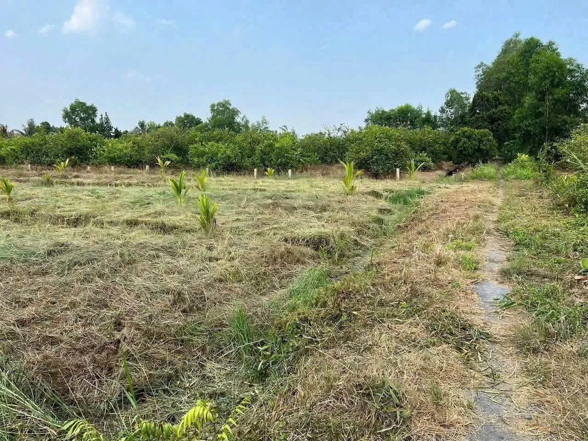 Bán đất nền 1000m² Bến Lức Long An, 550 triệu - Ảnh thu nhỏ 2
