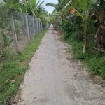 Bán đất Phú Túc Bến Tre 1538m2, 1,2 tỷ - Ảnh thu nhỏ 1
