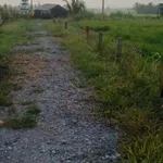 Bán 500m² đất vườn Xã Đức Tân Huyện Tân Trụ Tây Ninh 350 triệu - Ảnh thu nhỏ 4