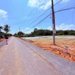 Bán đất Bình Chánh Thành Châu 50m2 390 triệu - Ảnh thu nhỏ 2