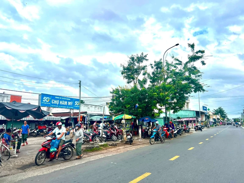 Bán đất kèm nhà kho mặt tiền 172m² Tuyên Quang 3,95 tỷ