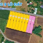 Bán đất nền 80m² tại Phước An, Châu Đức 550 triệu - Ảnh thu nhỏ 1