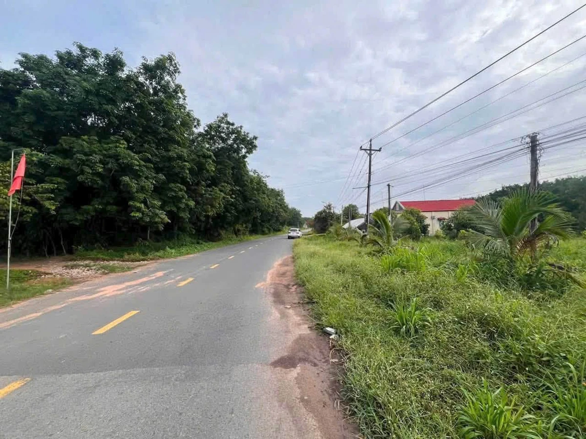 Bán đất 28.000m² mặt tiền 506 Phú Giáo Bình Dương 19 tỷ - Ảnh thu nhỏ 2