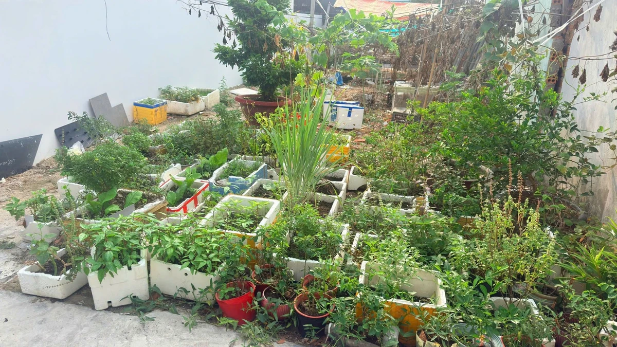 Bán đất Vĩnh Hòa Nha Trang 45m² 1,82 tỷ sổ hồng riêng - Ảnh 1