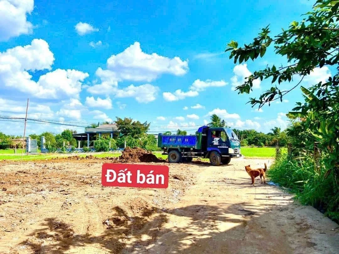 Bán đất thổ cư 409m² giá 650 triệu gần trường học, Tân Trụ - Ảnh thu nhỏ 2