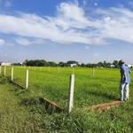 Bán gấp đất thổ cư 872m2 giá 3,2 tỷ tại Đức Hòa Thượng, Đức Hòa, Long An - Ảnh thu nhỏ 5