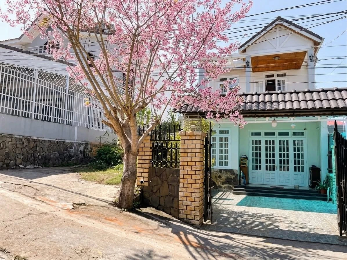 Bán nhà phố 183m² ngang 6m, dài 31m Đà Lạt 8,6 tỷ - Ảnh 1
