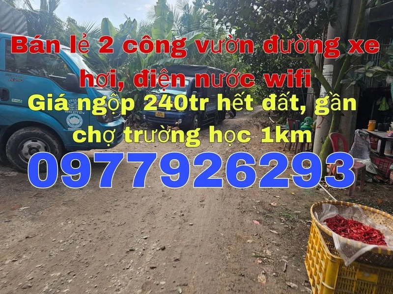 Bán đất nông nghiệp 2 công Tam Nông Đồng Tháp 240 triệu