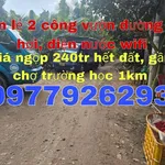 Bán đất nông nghiệp 2 công Tam Nông Đồng Tháp 240 triệu - Ảnh thu nhỏ 1