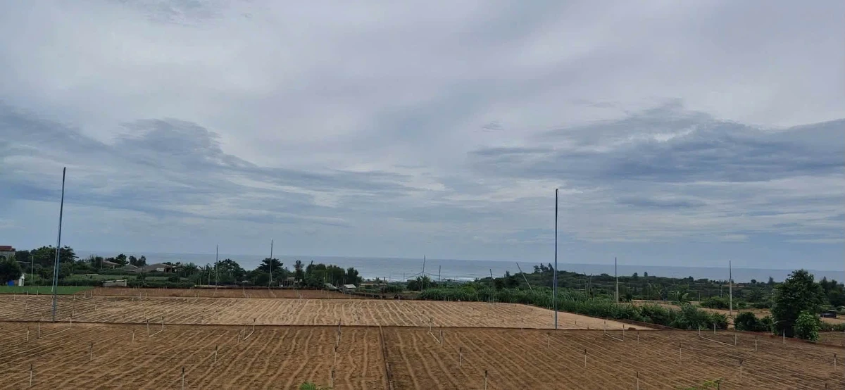 Bán đất Bình Hải Bình Sơn Quảng Ngãi 675m2 gần biển - Ảnh thu nhỏ 2