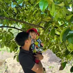Bán vườn chôm chôm, măng cụt 4,7 sào giá 3,8 tỷ Đồng Nai - Ảnh thu nhỏ 1