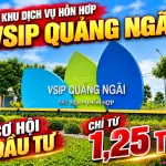02 lô đẹp hướng Bắc, giá tốt Khu Dịch Vụ Hỗn Hợp VSIP Quảng Ngãi - Ảnh thu nhỏ 11