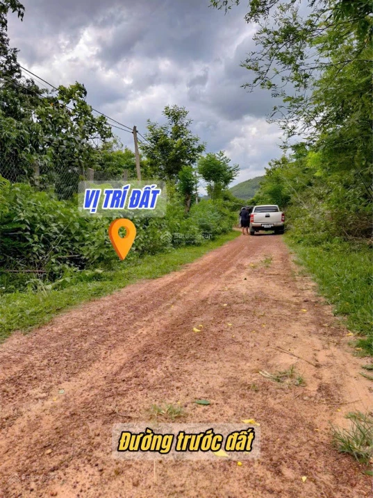 Vườn vải full siêu đẹp chỉ 6xxtr - Ảnh thu nhỏ 2