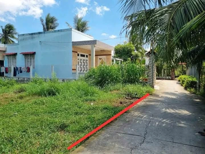 Bán nền đất liền kề 100m² Xã Phú Nhuận Bến Tre - Ảnh thu nhỏ 2