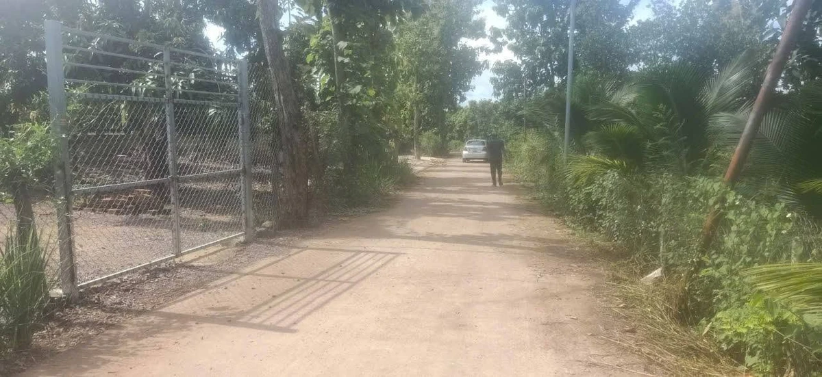 Bán đất trồng xoài 7.000m2, QL20, Cần Giờ - Ảnh thu nhỏ 2