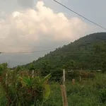 Bán đất thổ cư 150m² Tây Ninh 590 triệu - Ảnh thu nhỏ 2