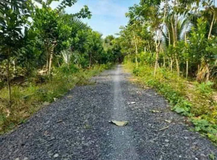 Bán nền biệt thự 375 m2 view sông Ba Lai Nhà Bè - Ảnh thu nhỏ 3