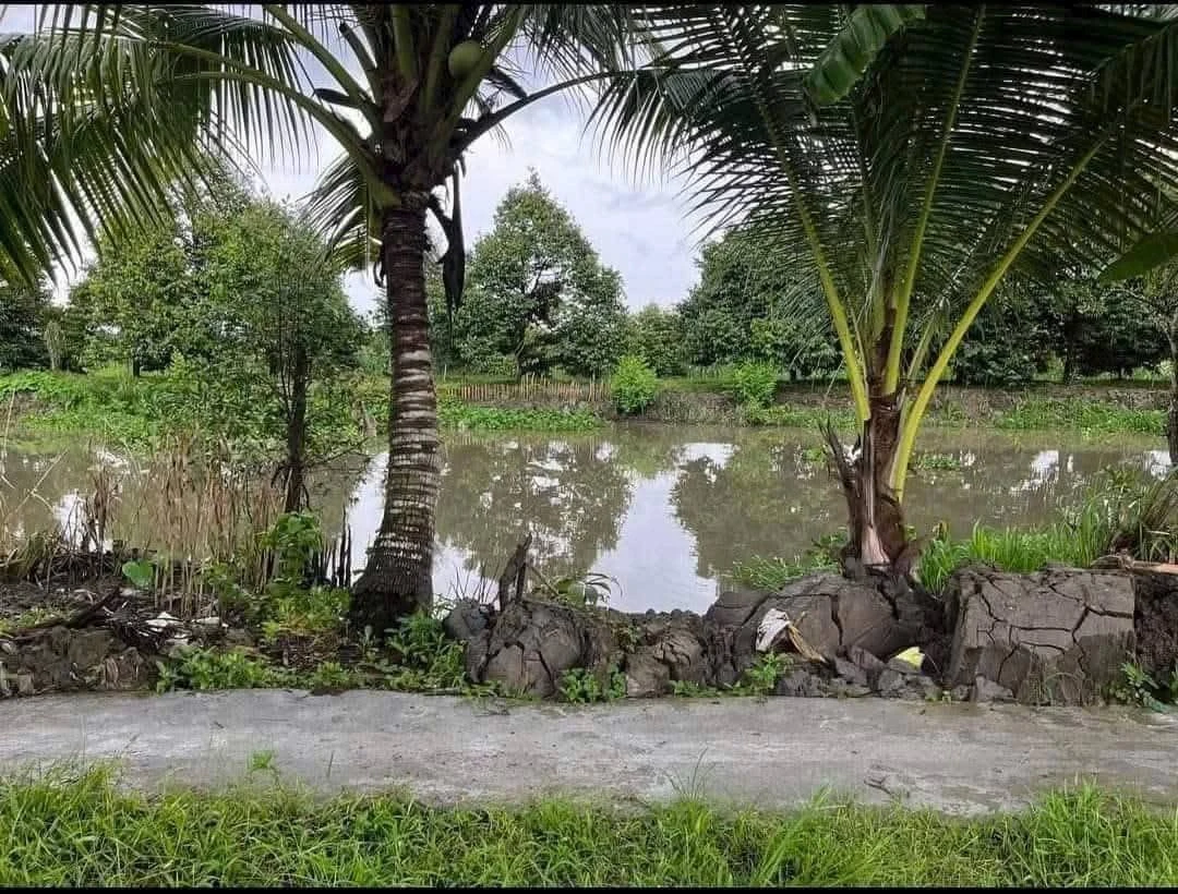 Bán 375 m² đất thổ cư Phong Điền, Cần Thơ - Ảnh thu nhỏ 4