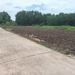 Bán đất thổ cư Bình Lãng, Tân Trụ - 5x28,5m và 6x30m - Ảnh thu nhỏ 2