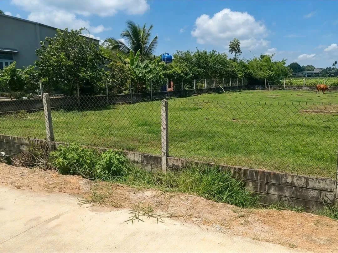 Bán đất thổ cư 240m² Xã An Ninh Đông 600 triệu - Ảnh 1