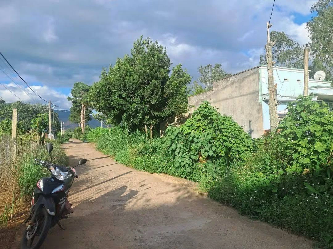 Bán đất Tiền Lâm Nam Ban 492m² mặt tiền 14m - Ảnh thu nhỏ 5