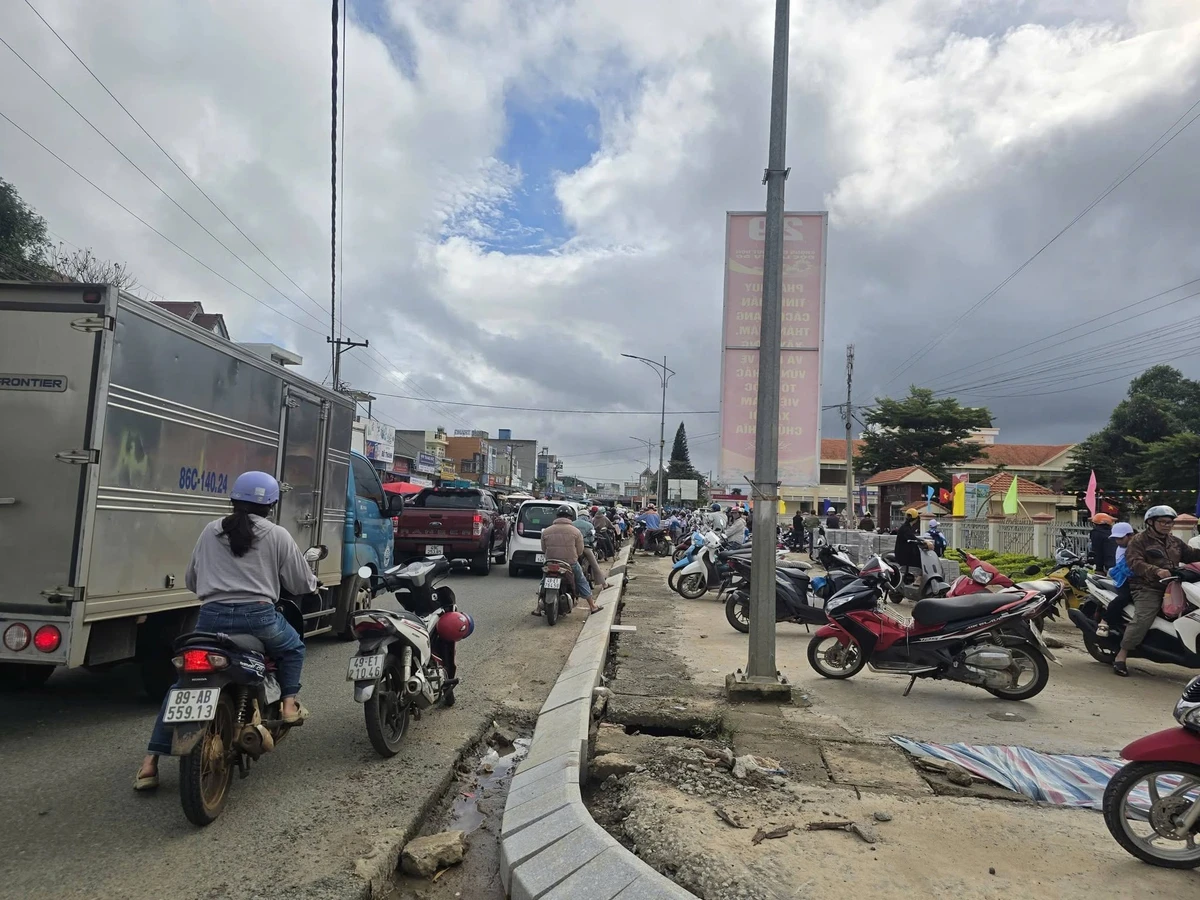 Bán đất Tân Hội 260m² sổ hồng riêng 990 triệu - Ảnh thu nhỏ 3