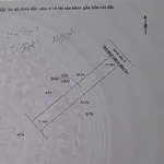 Bán 1000m² đất vườn Tân Thành Thủ Thừa 440 triệu - Ảnh thu nhỏ 1