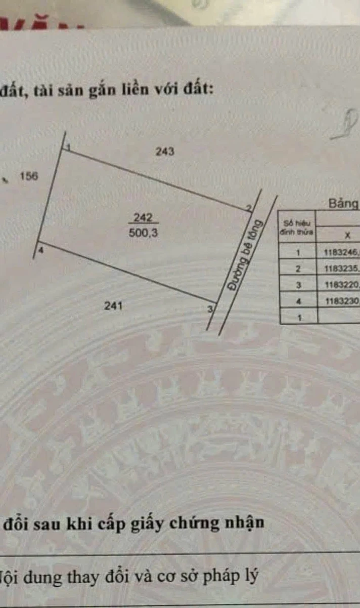 Bán đất Nhà Bè 16m x 33m (528 m²), 580 triệu - Ảnh thu nhỏ 2