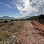 Văn Thủy 2 Cam An Khánh Hòa | hơn 5.000m2 | chỉ 150 triệu/sào - Ảnh thu nhỏ 9