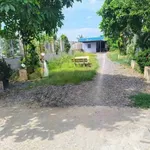 Bán đất vườn mặt tiền 800m² Bến Lức Long An - Ảnh thu nhỏ 3
