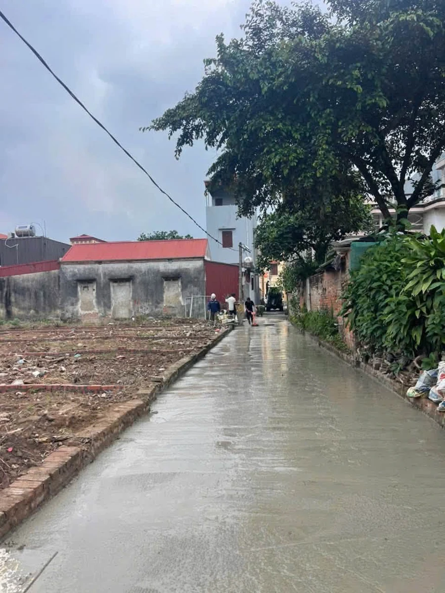 Bán lô đất 81,3m² 2 mặt ngõ Mao Điền Hải Phòng - Ảnh thu nhỏ 2