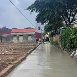 Bán lô đất 81,3m² 2 mặt ngõ Mao Điền Hải Phòng - Ảnh thu nhỏ 2