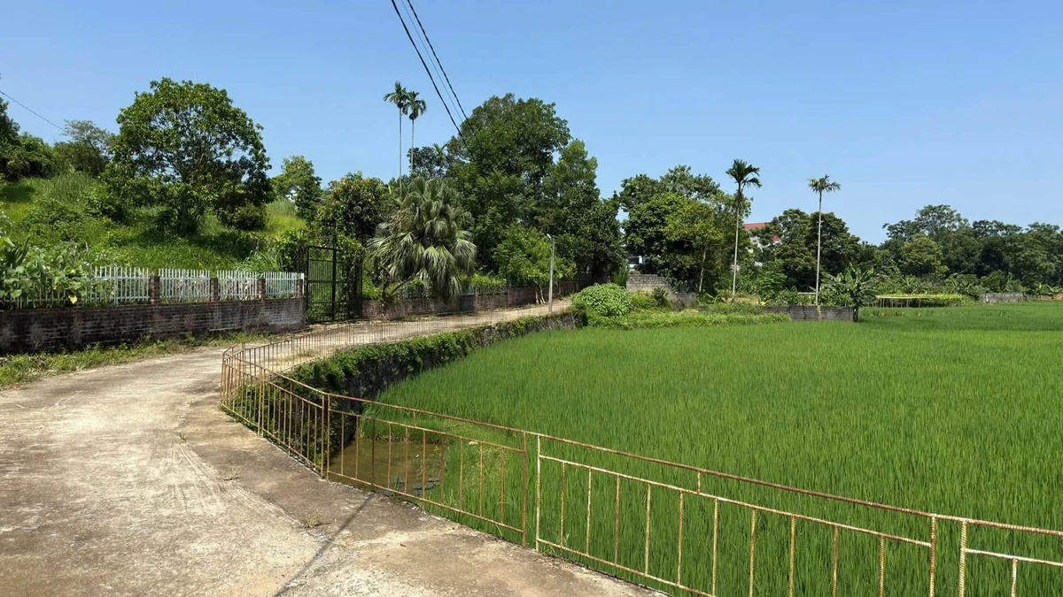 Bán đất 1.200m² Cư Yên Lương Sơn Hòa Bình 3 tỷ - Ảnh thu nhỏ 4